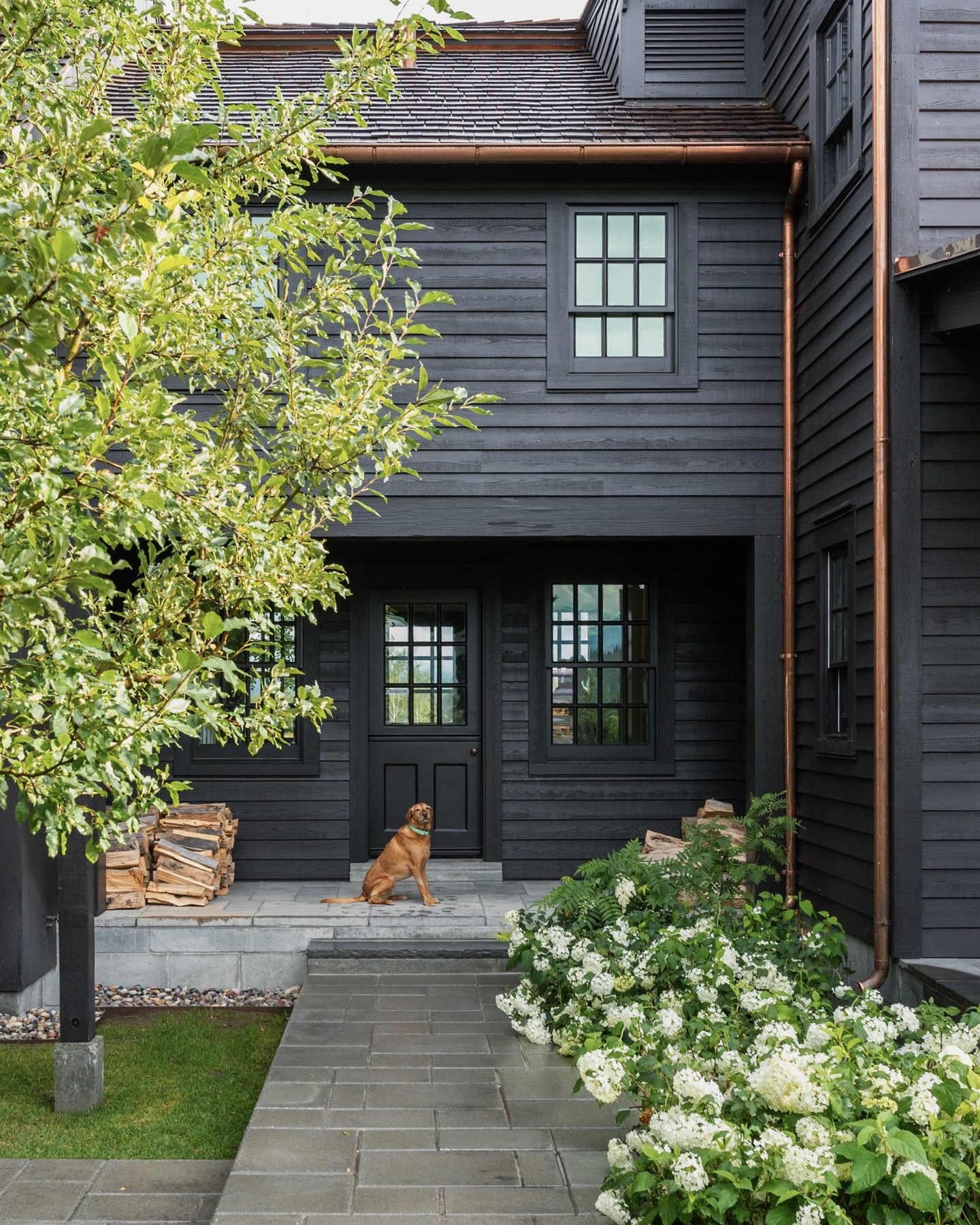 The residence's black timber exterior at dusk, with the family dog seated on the front walk beside stacked firewood and hydrangeas.